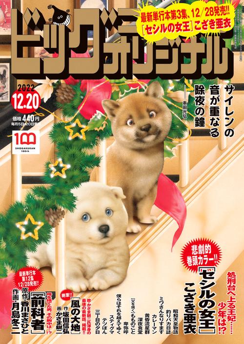 ビッグコミックオリジナル 2022年 (12月3週目)号 [雑誌]