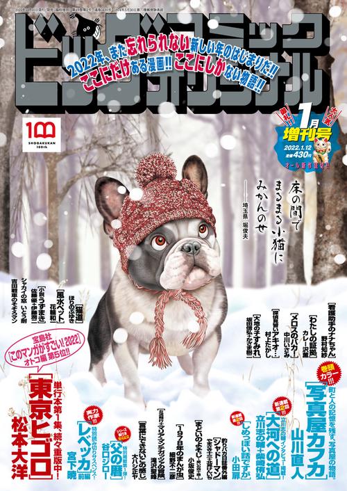 B・Cオリジナル増増刊号 2022年 (01月 別冊・臨時増刊) [雑誌]