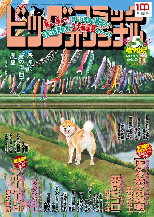 B・Cオリジナル増増刊号 2022年 (05月 別冊・臨時増刊) [雑誌]