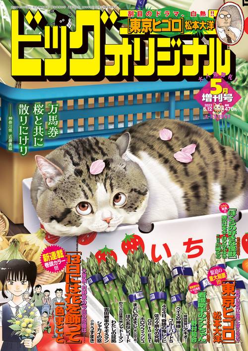 B・Cオリジナル増増刊号 2023年 (05月 別冊・臨時増刊) [雑誌]