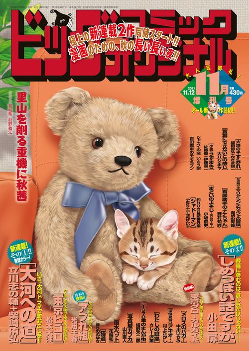 B・Cオリジナル増増刊号 2021年 (11月 別冊・臨時増刊) [雑誌]