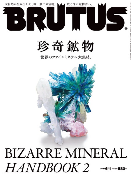 BRUTUS(ブルータス) 2023年 (06月1週目)号 [雑誌]