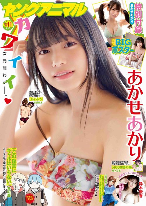 ヤングアニマル 2022年 (06月2週目)号 [雑誌]
