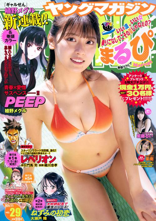 ヤングマガジン 2024年 (07月1週目)号 [雑誌]
