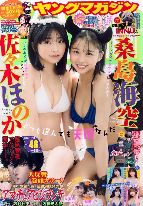 ヤングマガジン (2024年11月2週目号) [雑誌]