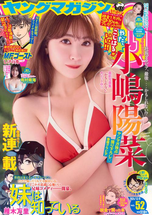 ヤングマガジン (2024年12月2週目号) [雑誌]