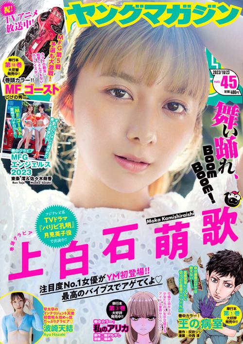 ヤングマガジン 2023年 (10月4週目)号 [雑誌]