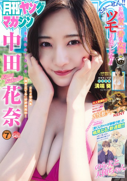 増ヤングマガジン (2025年07月 別冊・臨時増刊) [雑誌]