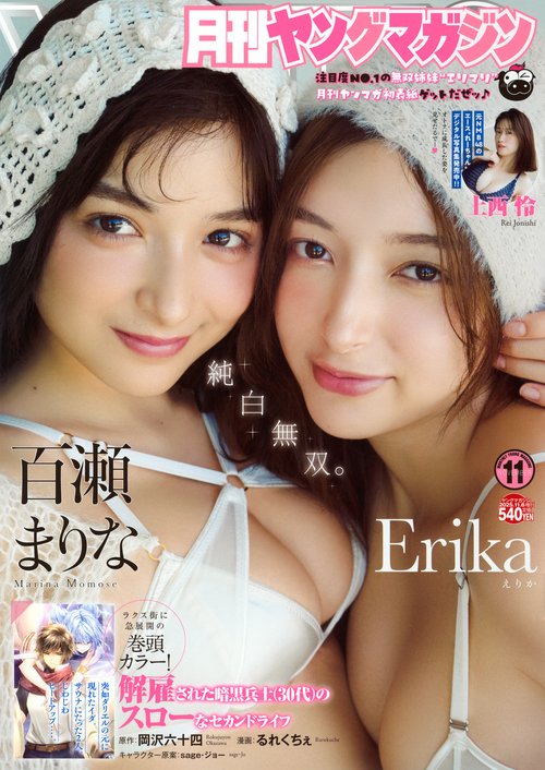 増ヤングマガジン (2025年11月 別冊・臨時増刊) [雑誌]