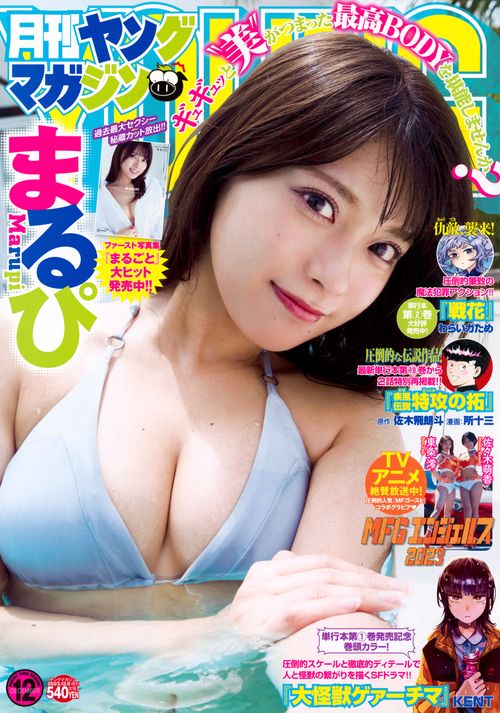 ヤングマガジン増月刊ヤングマガジン 2023年 (12月 別冊・臨時増刊) [雑誌]