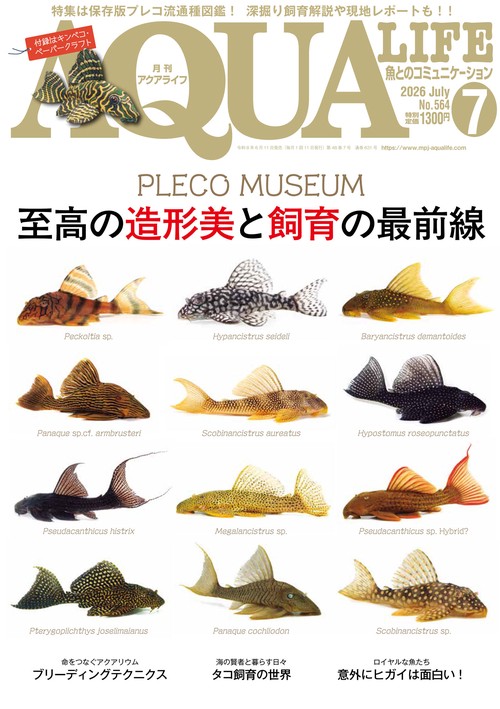 月刊アクアライフ (2026年07月号) [雑誌]