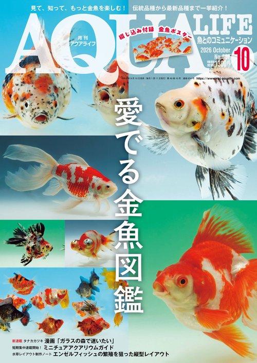 月刊 AQUA LIFE (アクアライフ) 2026年 10月号 (2026年10月号) [雑誌]