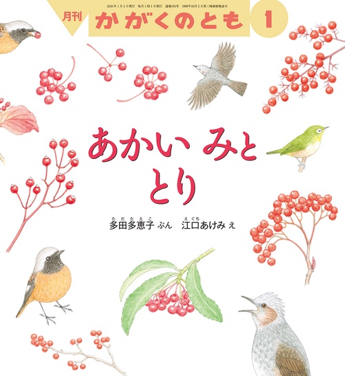 あかい みと とり(かがくのとも) (2026年01月号) [雑誌]