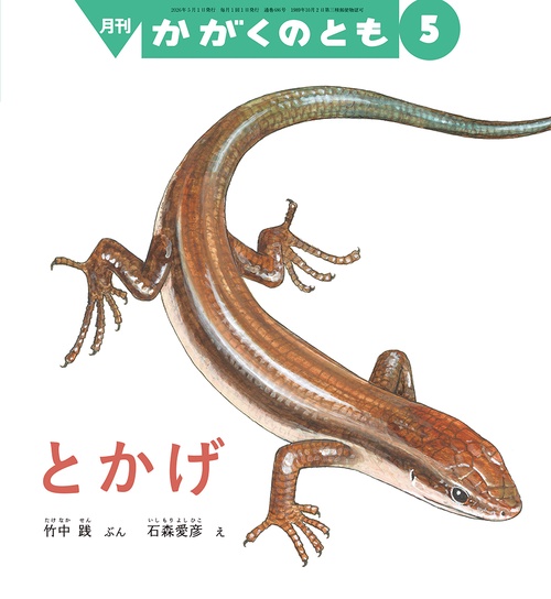 とかげ(かがくのとも) (2026年05月号) [雑誌]