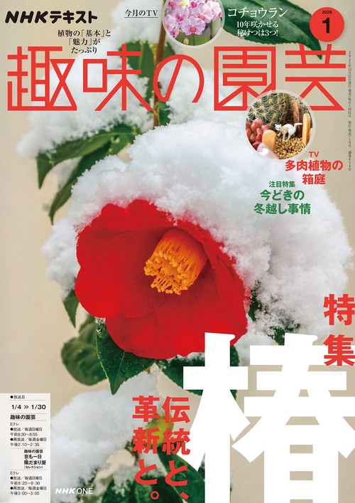 NHK趣味の園芸 2026年 01月号 [雑誌]