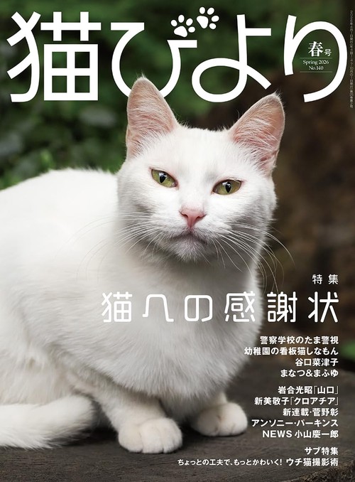 猫びより (2026年04月号) [雑誌]