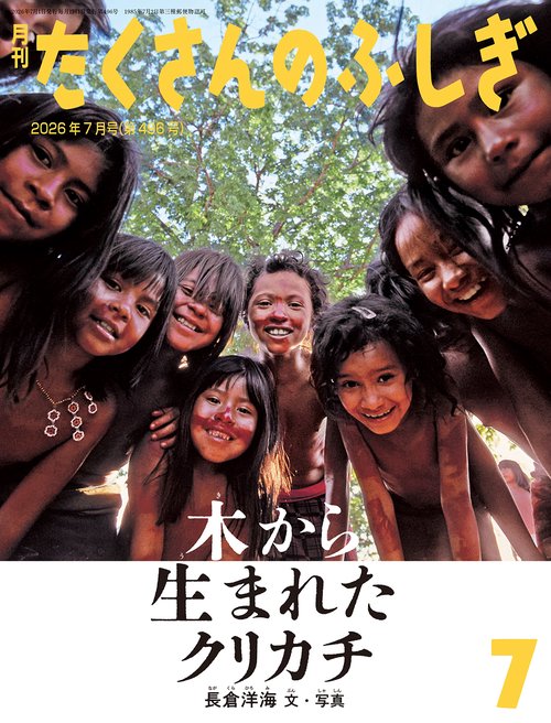木から生まれたクリカチ(たくさんのふしぎ) (2026年07月号) [雑誌]