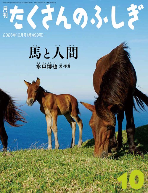 馬と人間(たくさんのふしぎ) (2026年10月号) [雑誌]