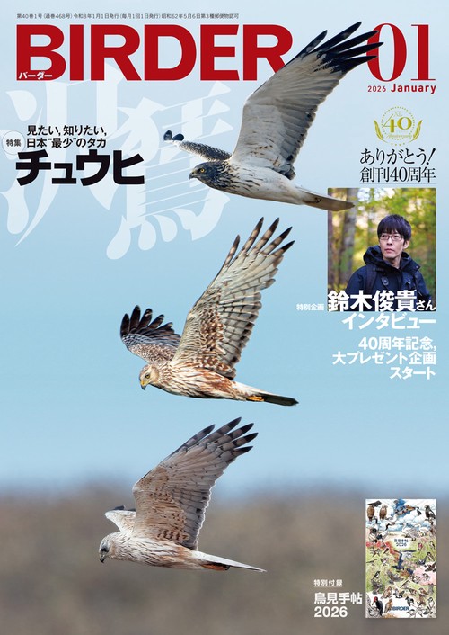 ＢＩＲＤＥＲ (2026年01月号) [雑誌]