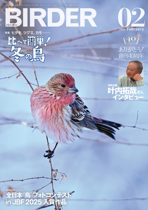 ＢＩＲＤＥＲ (2026年02月号) [雑誌]