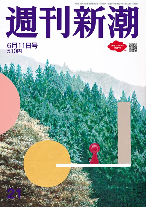 週刊新潮 ２０２６年６月１１日号 ＮＯ．２１ (2026年06月2週目号) [雑誌]