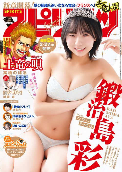 ビッグコミックスピリッツ 2026年 (03月1週目)号 [雑誌]