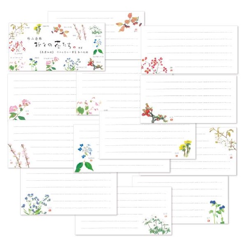 折々の花たち 十二ヶ月の花一筆箋 横 24枚綴 12柄各2枚