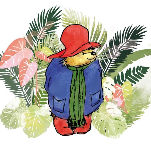 【Paddington】スクエアカード(IN THE JUNGLE)【M&G】