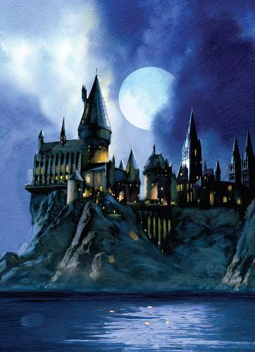 Harry Potter: Hogwarts Pop-Up Card: Reduced Size