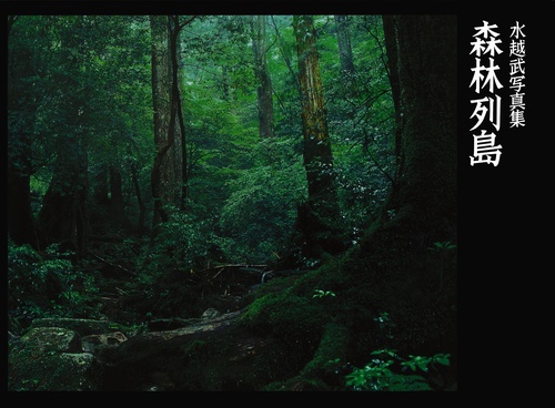 森林列島