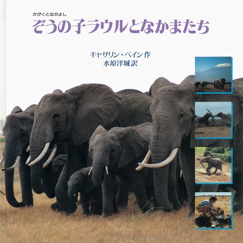 ぞうの子ラウルとなかまたち