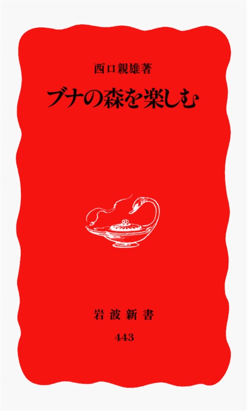 ブナの森を楽しむ