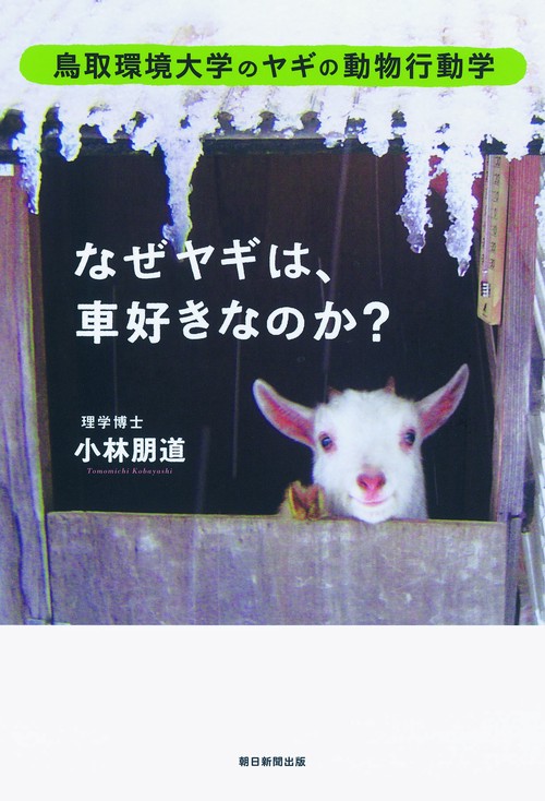 なぜヤギは、車好きなのか? 鳥取環境大学のヤギの動物行動学