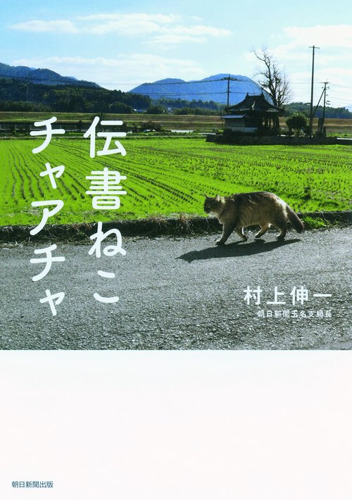 伝書ねこチャアチャ