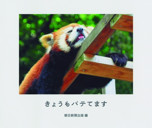 きょうもバテてます