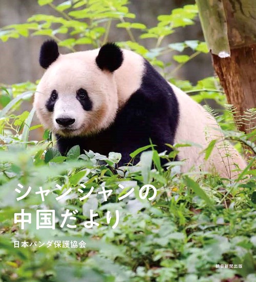 シャンシャンの中国だより