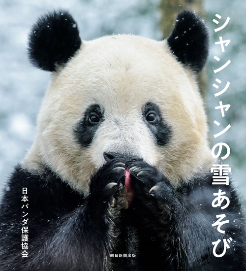 シャンシャンの雪あそび