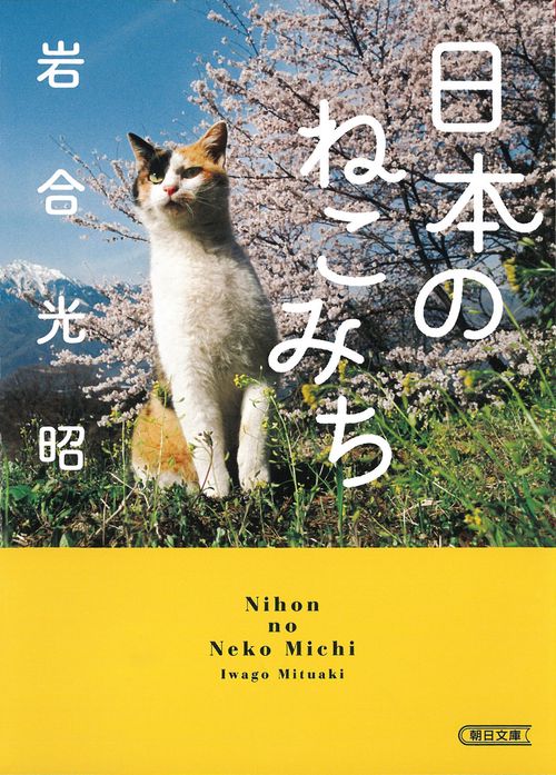 日本のねこみち
