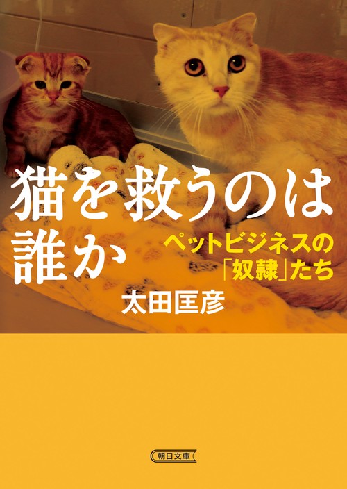 猫を救うのは誰か