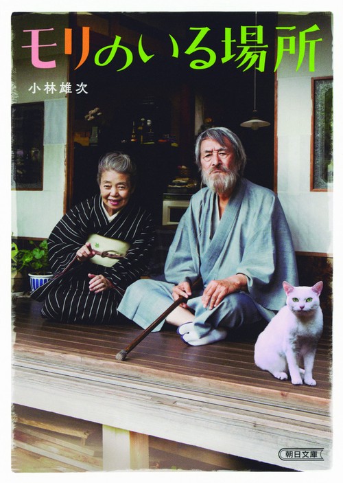 モリのいる場所