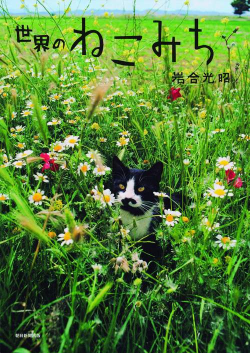 世界のねこみち