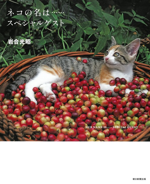ネコの名は……スペシャルゲスト