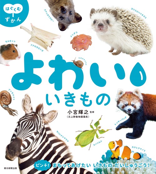 よわい　いきもの