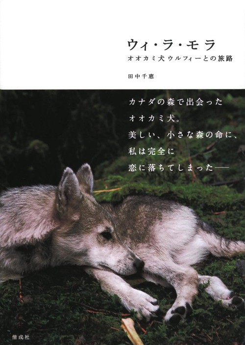 ウィ・ラ・モラ オオカミ犬ウルフィーとの旅路