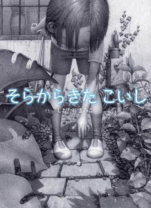 そらからきたこいし