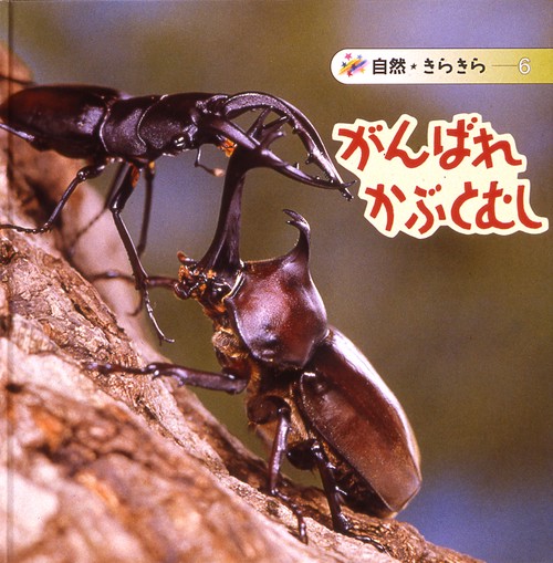 がんばれかぶとむし