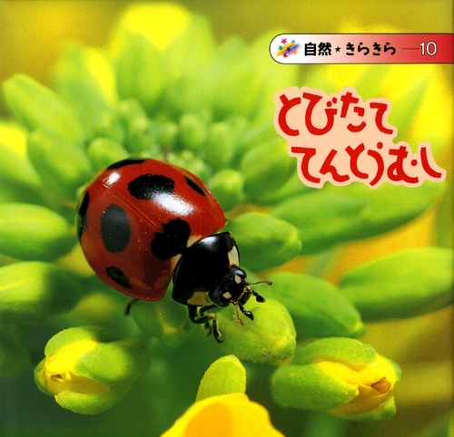 とびたててんとうむし