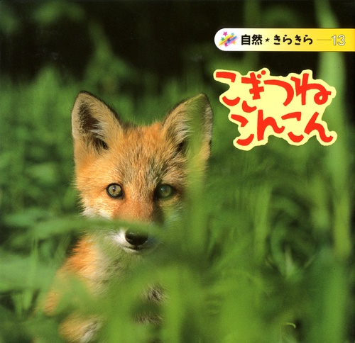 こぎつねこんこん