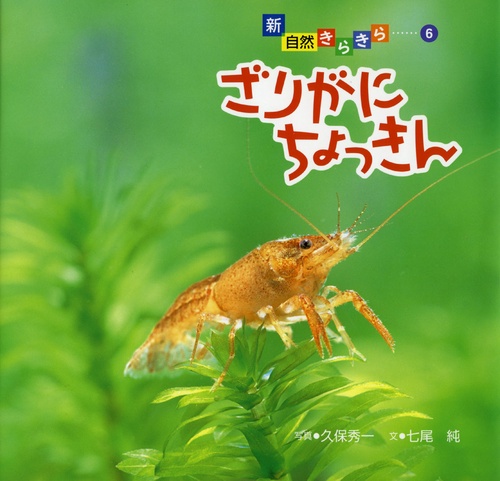 ざりがにちょっきん