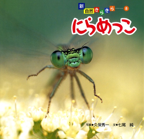 にらめっこ
